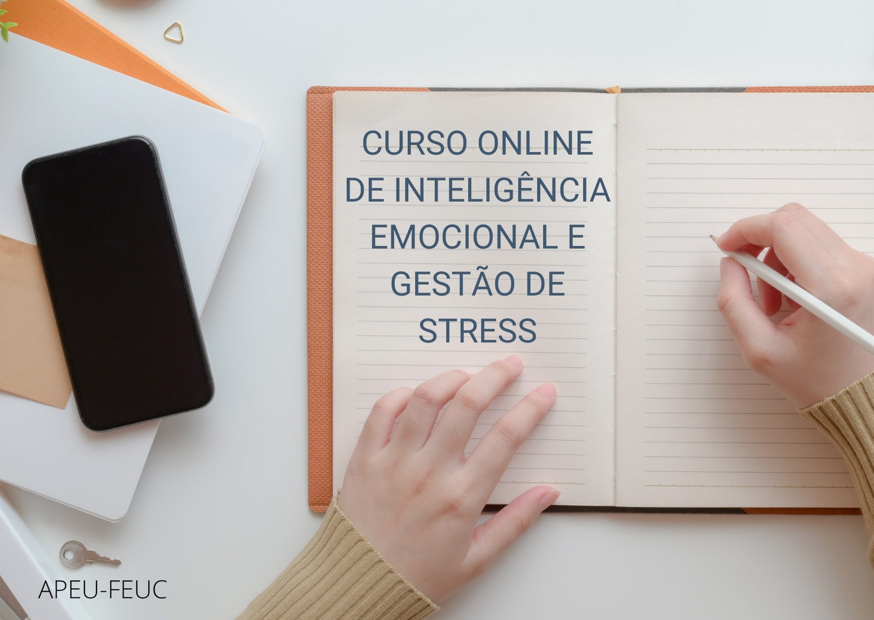 Curso Online de Inteligência Emocional e Gestão de Stress 